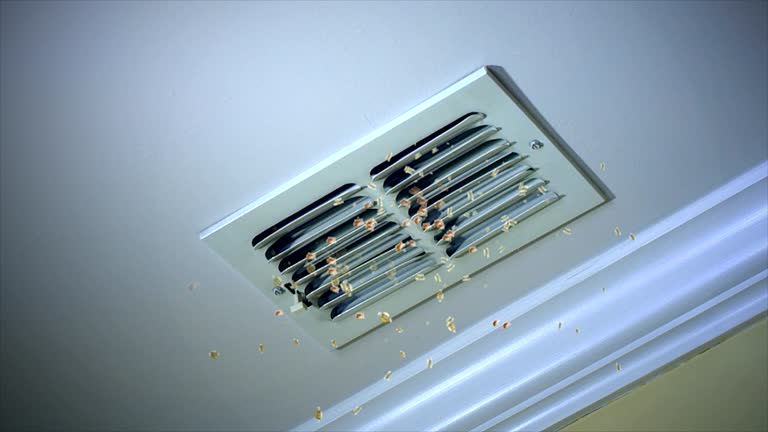 Best Air Vent Cleaning Services  in Pevely, MO