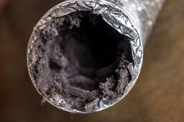 Best Best Air Duct Cleaning Near Me  in Pevely, MO