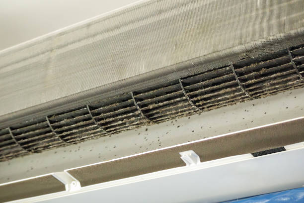 Best Commercial HVAC Duct Cleaning  in Pevely, MO